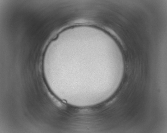 X0000081401421200702090052