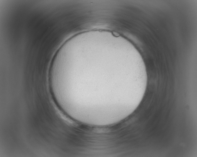 X0000081401423200702090052