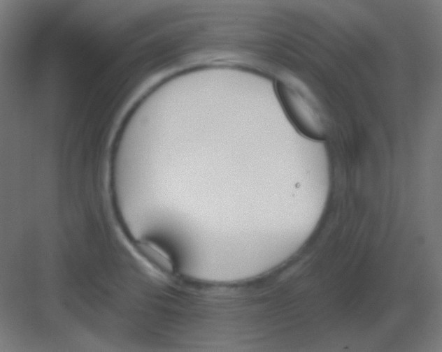 X0000081401424200702090052