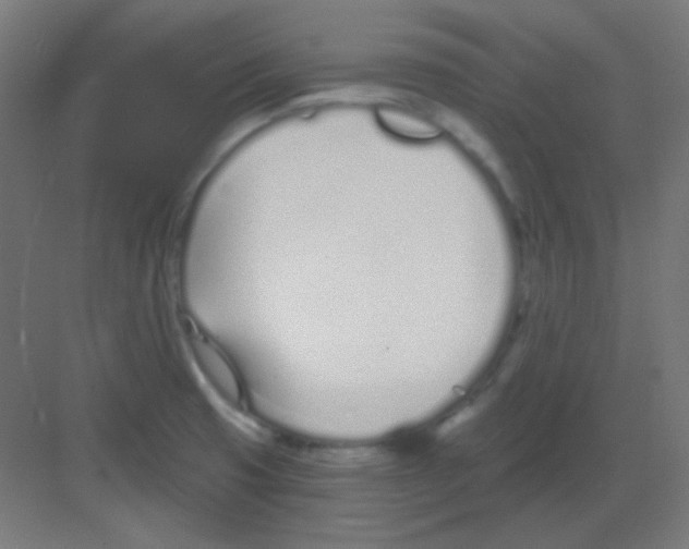 X0000081401425200702090052