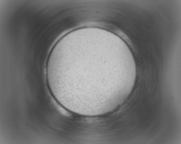 X0000081401428200702090052