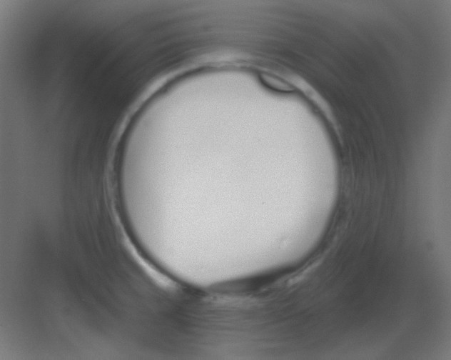 X0000081401429200702090052