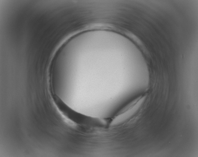 X0000081401430200702090052