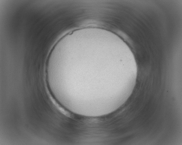 X0000081401431200702090052