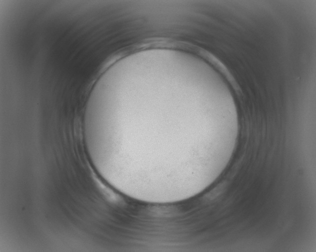 X0000081401433200702090052