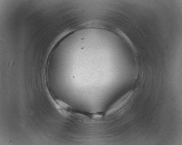 X0000081401434200702090052