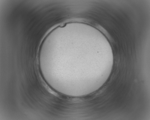 X0000081401436200702090052