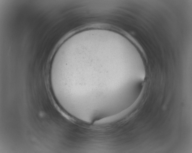 X0000081401437200702090052