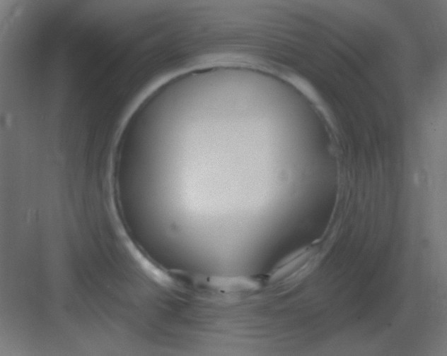 X0000081401438200702090052