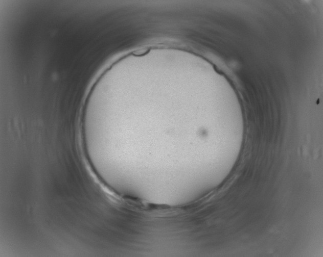 X0000081401440200702090052