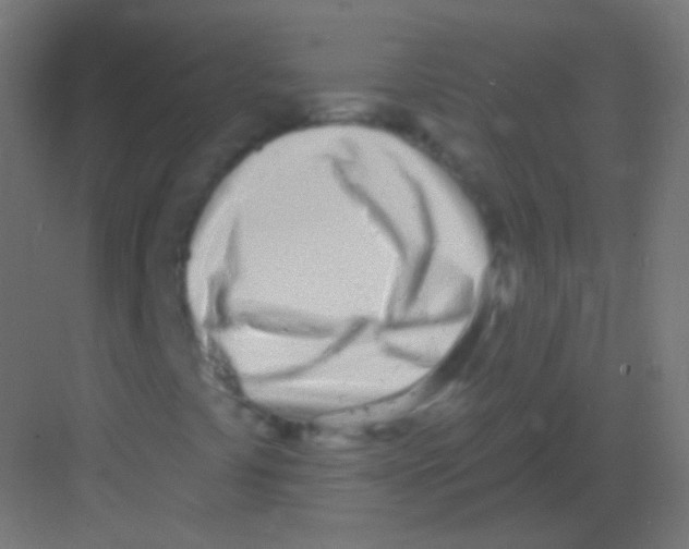 X0000081401441200702090051