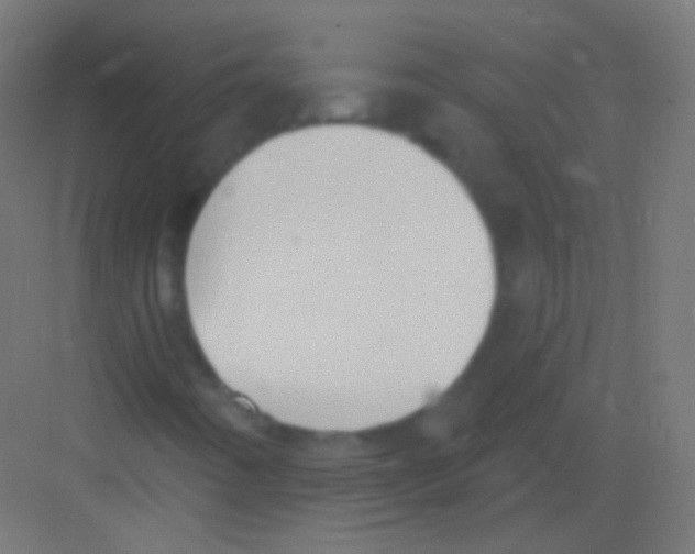 X0000081401442200702090051