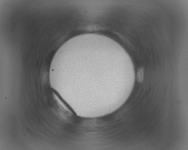 X0000081401444200702090051