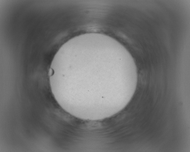 X0000081401446200702090051