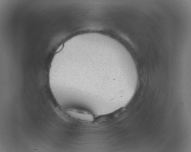 X0000081401448200702090051