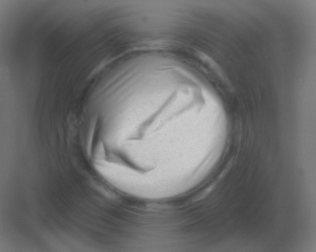 X0000081401449200702090051