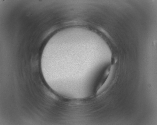 X0000081401450200702090051