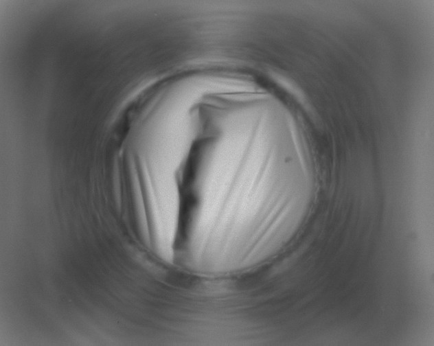 X0000081401453200702090051