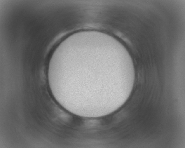 X0000081401454200702090051