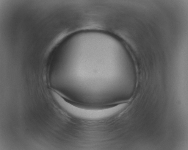 X0000081401455200702090051