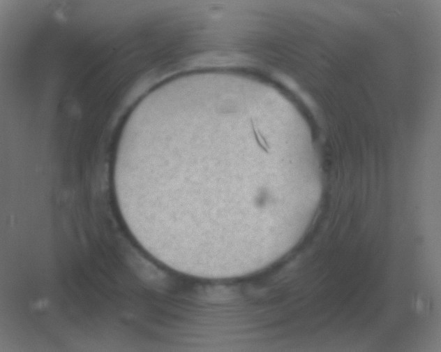 X0000081401459200702090051