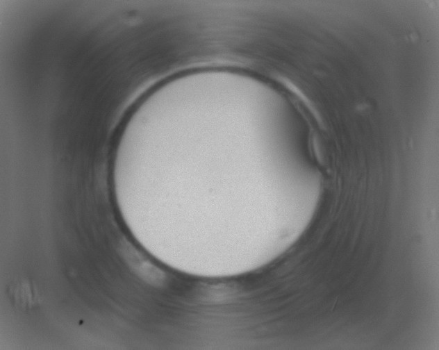 X0000081401460200702090051