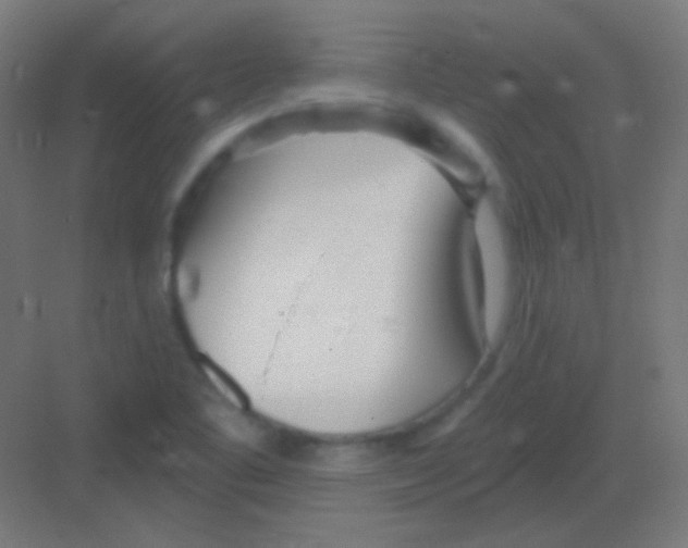 X0000081401461200702090051