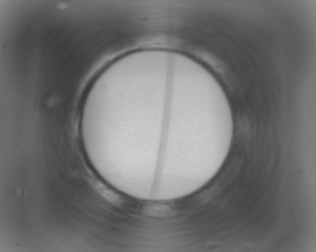 X0000081401462200702090051