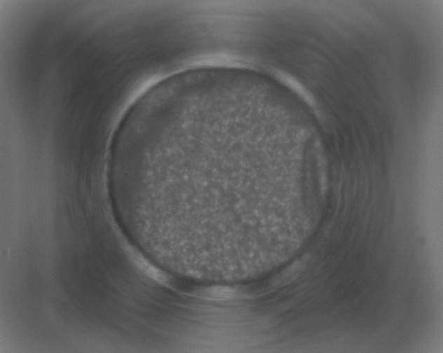 X0000081401463200702090051