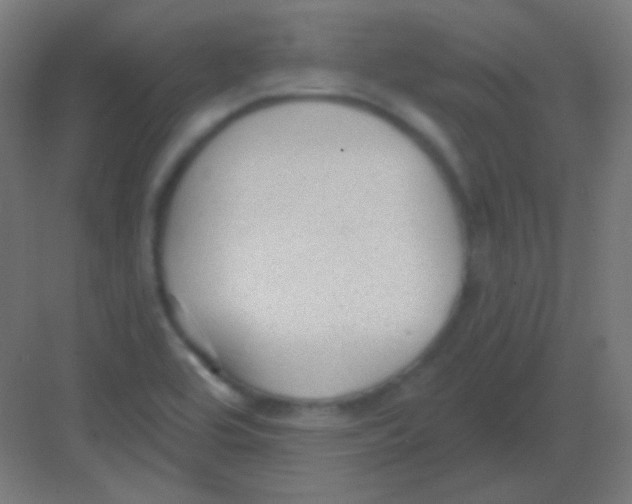 X0000081401464200702090051