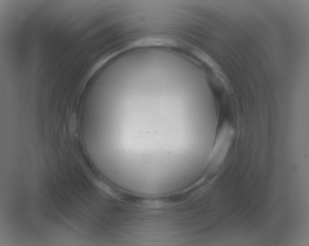 X0000081401465200702090051