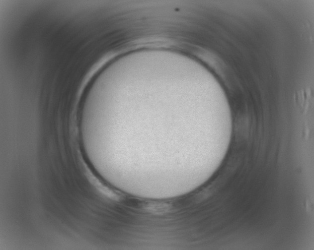 X0000081401466200702090051