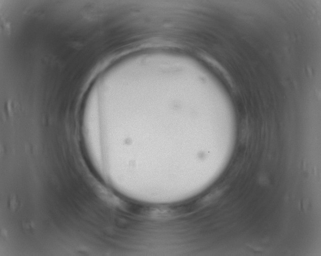 X0000081401467200702090051