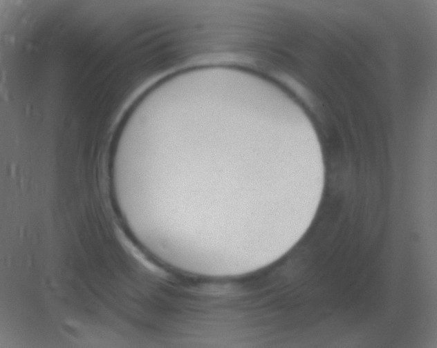 X0000081401468200702090051