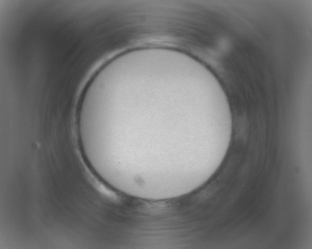 X0000081401470200702090051