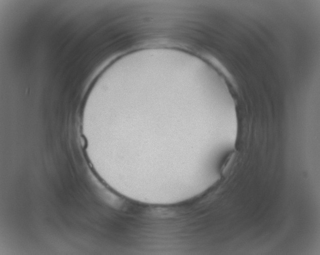 X0000081401476200702090051