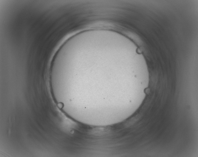 X0000081401478200702090051