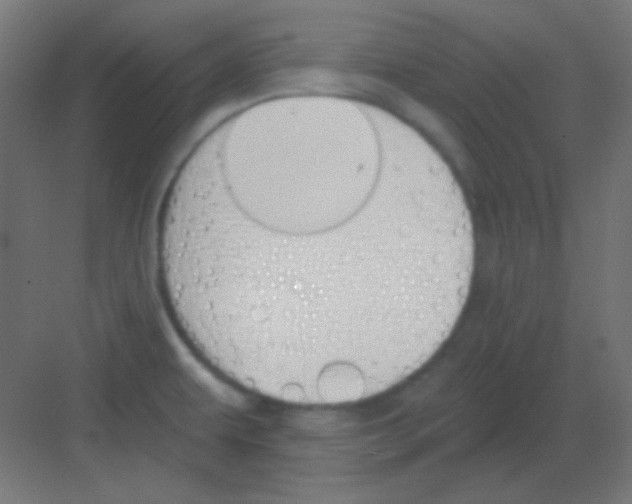 X0000081401479200702090051