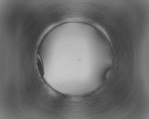 X0000081401480200702090051