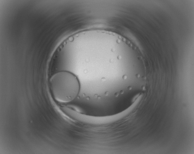 X0000081401483200702090051