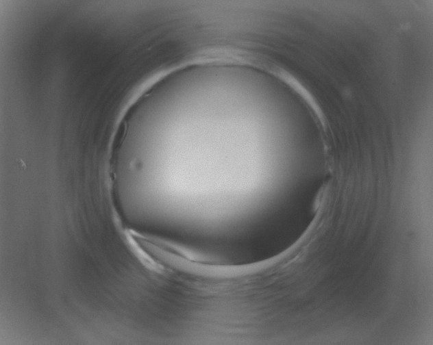 X0000081401485200702090051