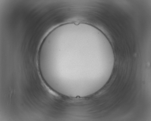 X0000081401486200702090051