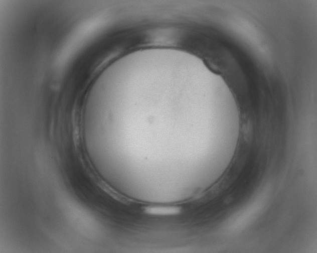 X0000081401487200702090051