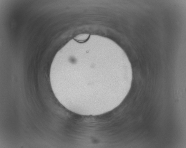 X0000081401489200702090050