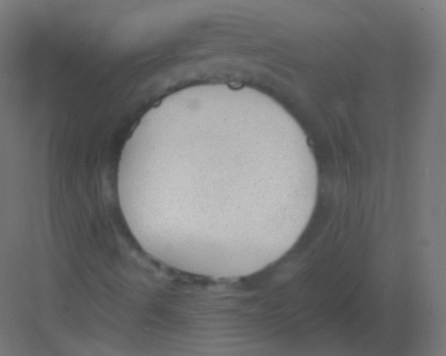 X0000081401490200702090050