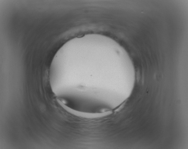 X0000081401492200702090050