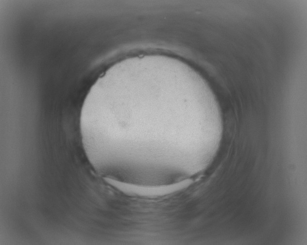 X0000081401494200702090050