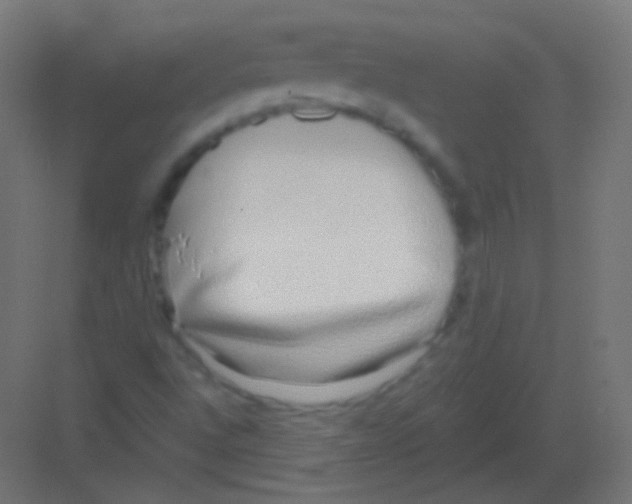 X0000081401496200702090050