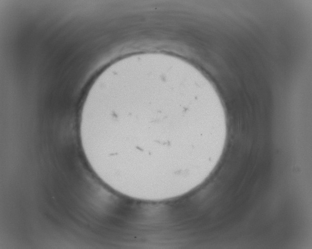 X0000081401498200702090050