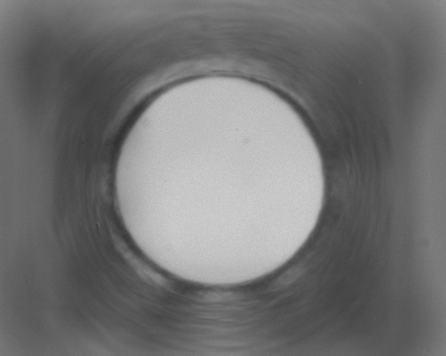 X0000081401499200702090050